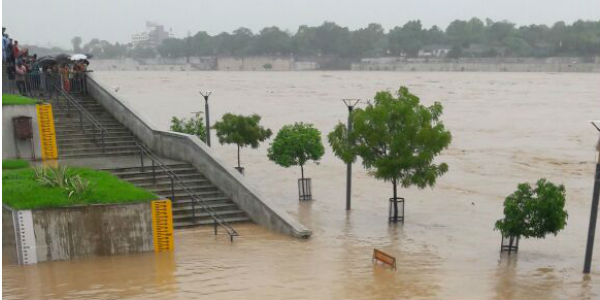 Helping Cows In Banashkantha Flood With Food