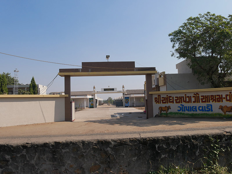 Andh - Apang Gau Aashram is situated at Gopal Vadi in Wankaner Taluka of Morbi District, Gujarat.