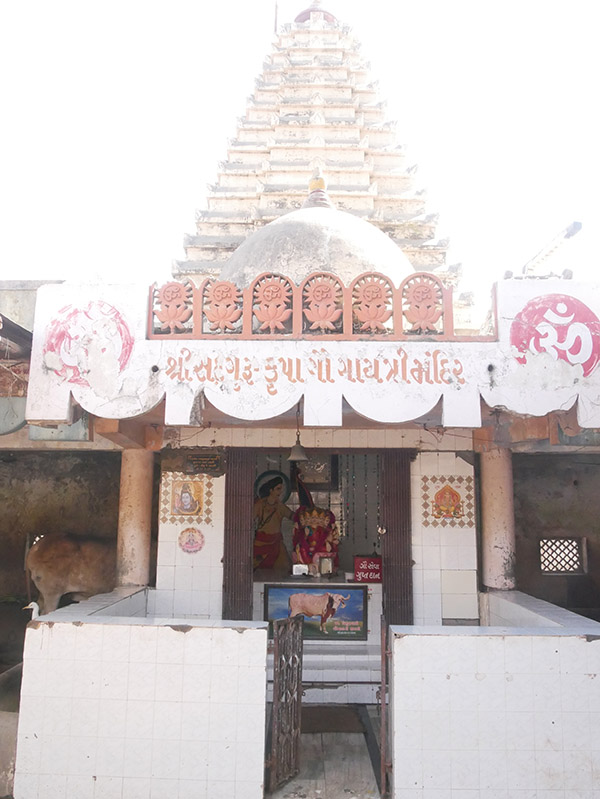 Andh - Apang Gau Aashram is situated at Gopal Vadi in Wankaner Taluka of Morbi District, Gujarat.