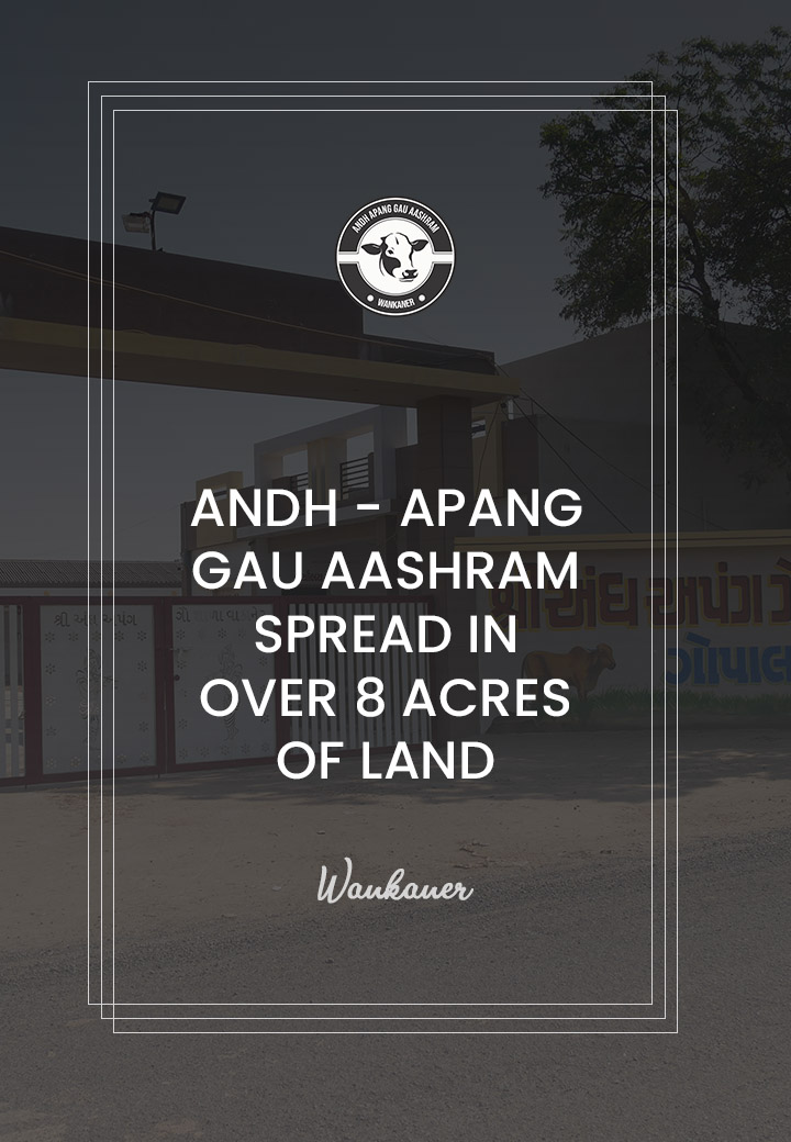 Andh - Apang Gau Aashram is situated at Gopal Vadi in Wankaner Taluka of Morbi District, Gujarat.