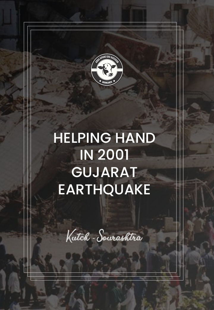 Andh Apang Gaushala Wankaner Was A Helping Hand In 2001 Earthquake In Saurashtra Kutch