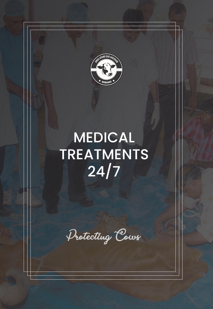 Medical Treatment at Wankaner Andh Apang Gau Aashram - Gujarat