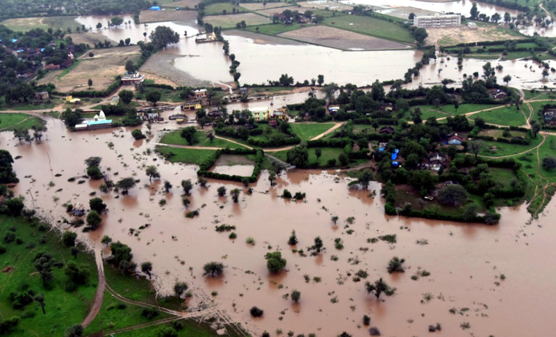 Helping Cows In Banashkantha Flood With Food