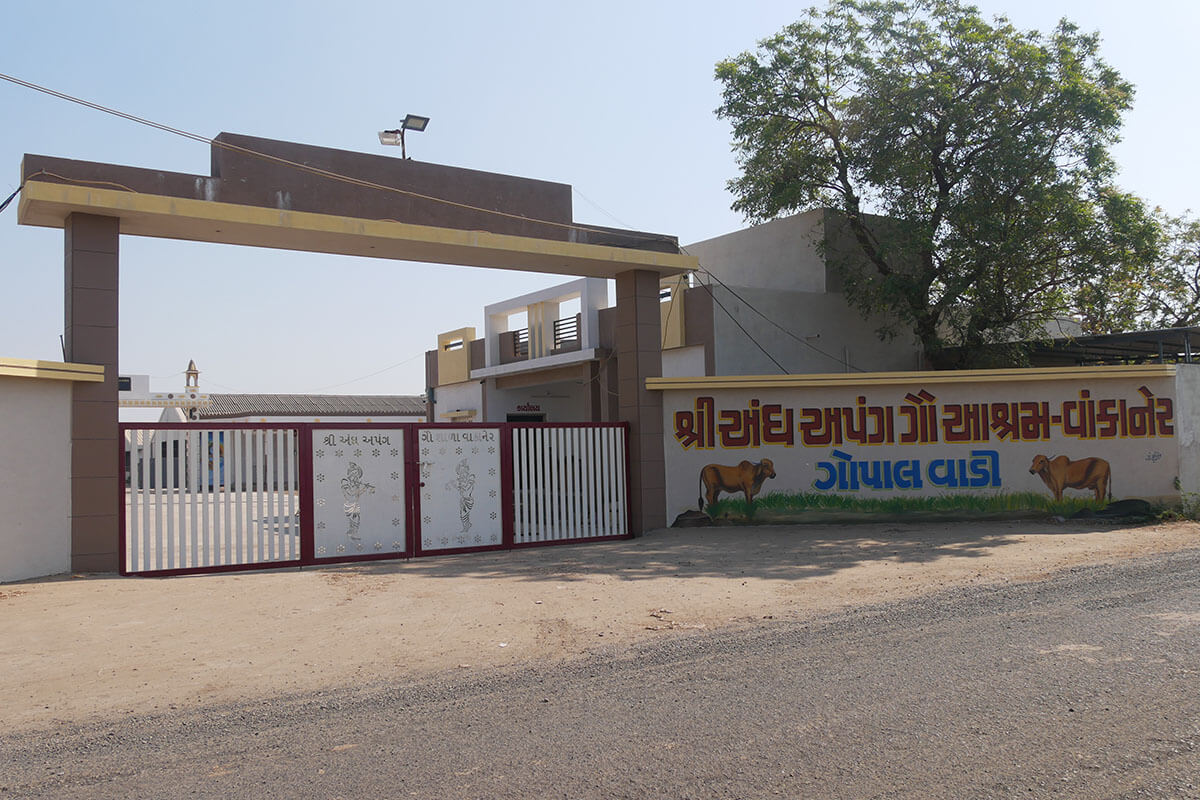 Gopal Vadi, Andh Apang Gau Aashram (Gaushala) - Wankaner