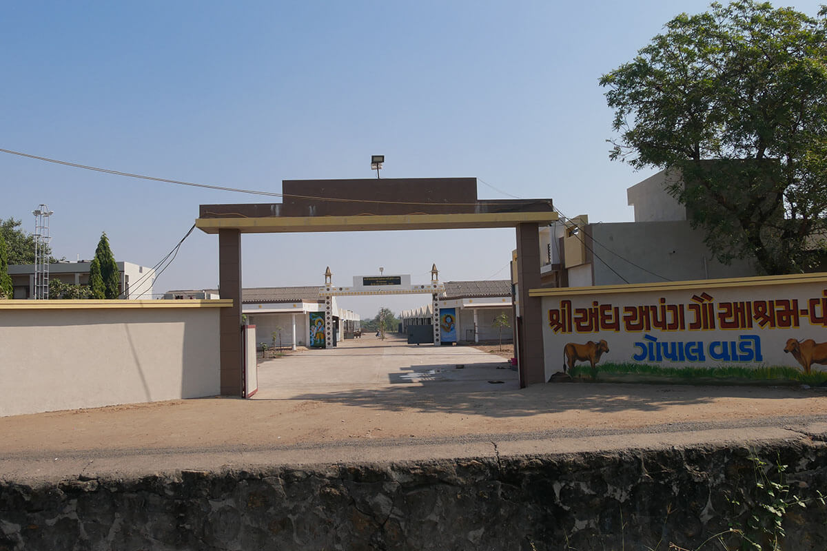 Gopal Vadi, Andh Apang Gau Aashram (Gaushala) - Wankaner