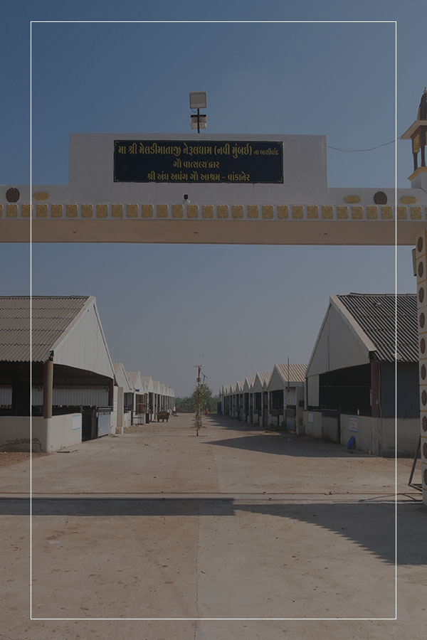 Andh Apang Gaushala Gua Aashram - Wankaner - Gopal Vadi